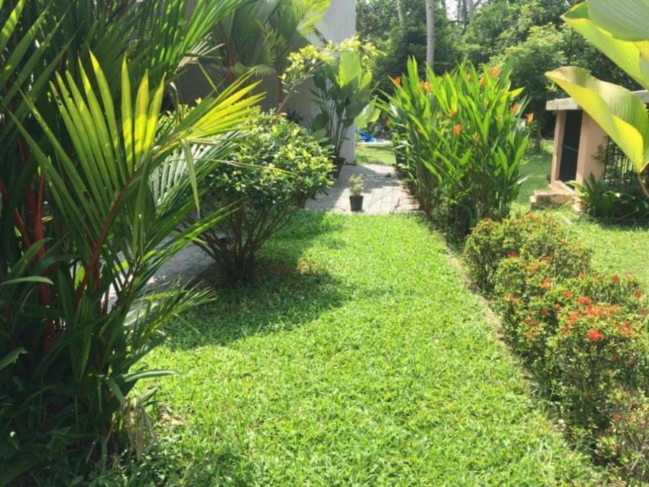 White Butterfly - A Countryside Homestay Thiruvananthapuram Buitenkant foto